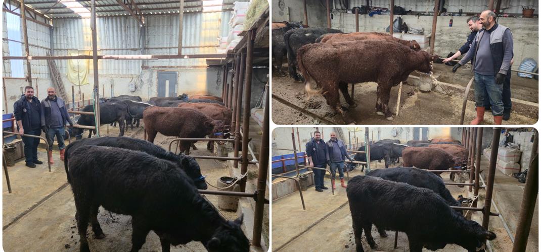 KIRSALDA BEREKET, HAYVANCILIĞA DESTEK PROJESİ