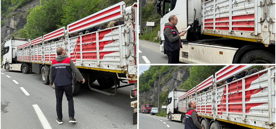Kurban Bayramı Öncesi Yol Kontrolleri Yoğun Şekilde Devam Ediyor