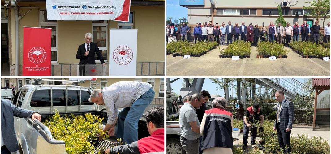 TARIM ARAZİLERİNİN KULLANIMININ ETKİNLEŞTİRİLMESİ PROJESİ (TAKEP) KAPSAMINDA MAVİYEMİŞ FİDANI TESLİM TÖRENİ GERÇEKLEŞTİRİLDİ