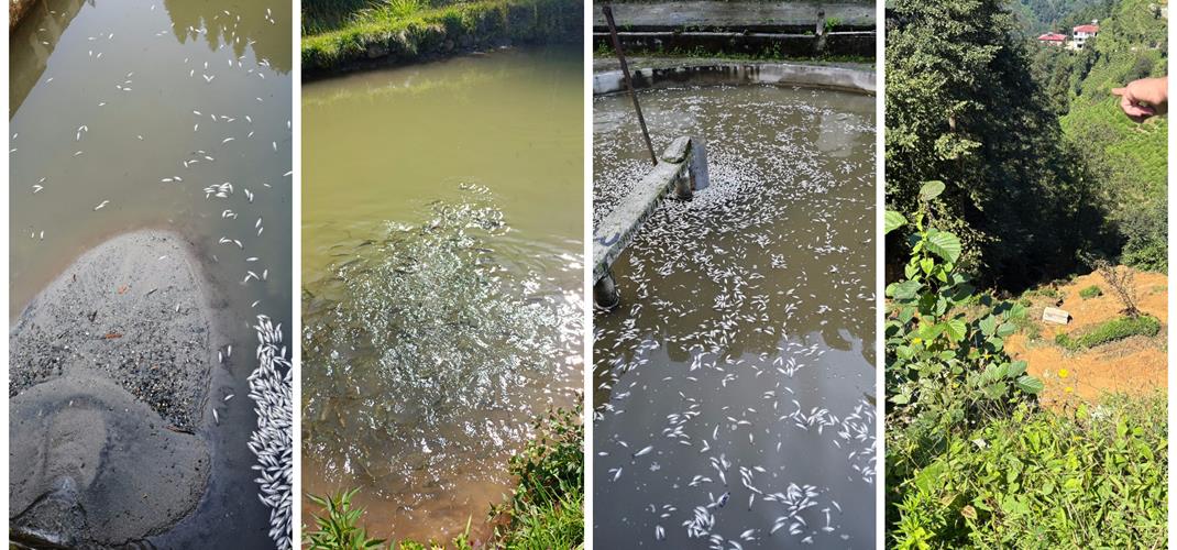 DOĞAL AFET YARDIM ÖDEMESİ