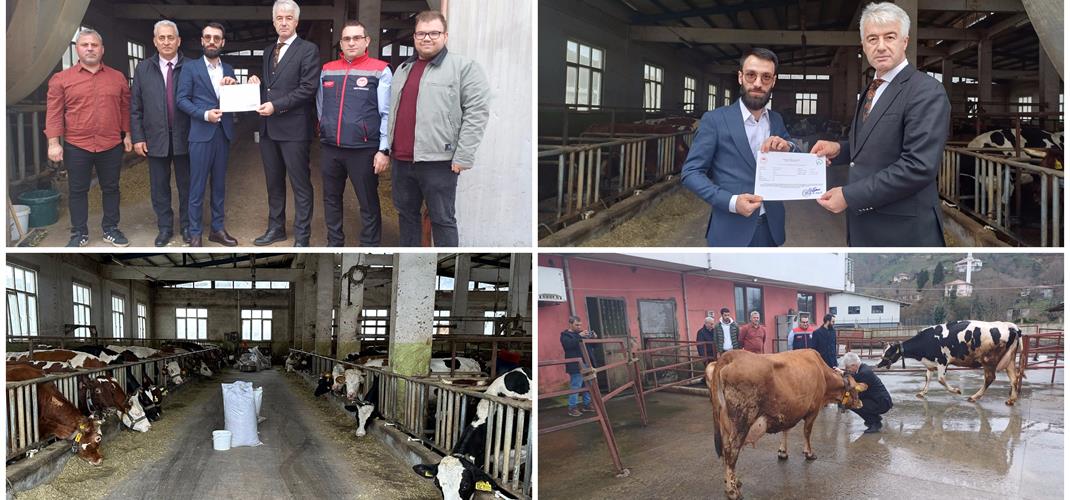 Hastalıktan Ari İşletme Denetimleri Devam Ediyor.