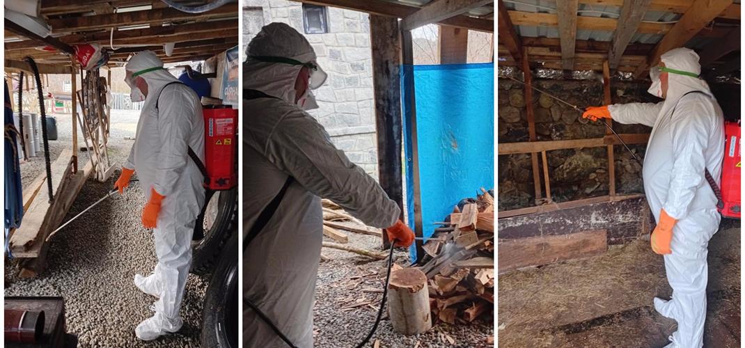         KAHVERENGİ KOKARCA (HALYOMORPHA HALYS. İLE ETKİN MÜCADELE DEVAM EDİYOR