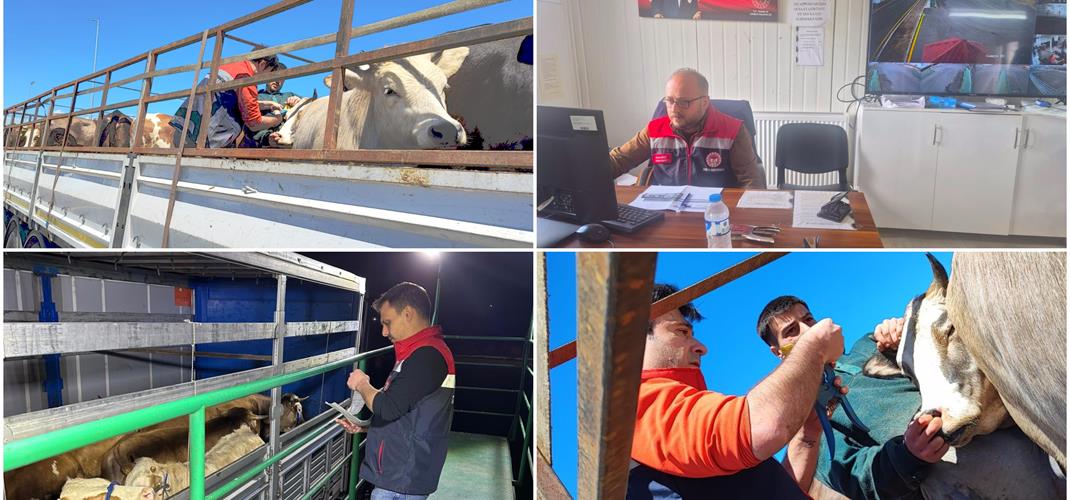 Yol kontrolleri ve Denetimleri